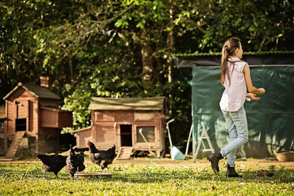 Pinbarren Green Lodges Noosa מראה חיצוני תמונה