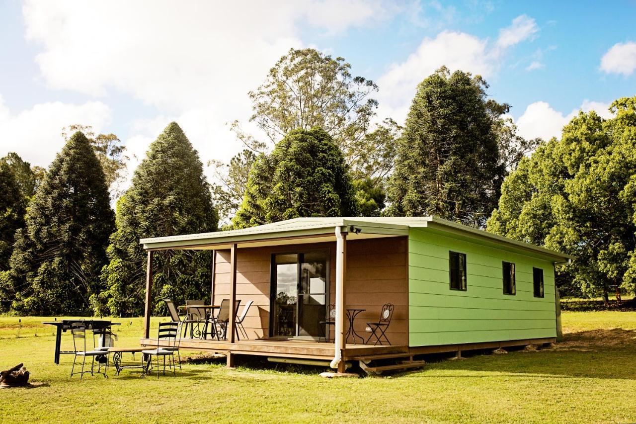 Pinbarren Green Lodges Noosa מראה חיצוני תמונה